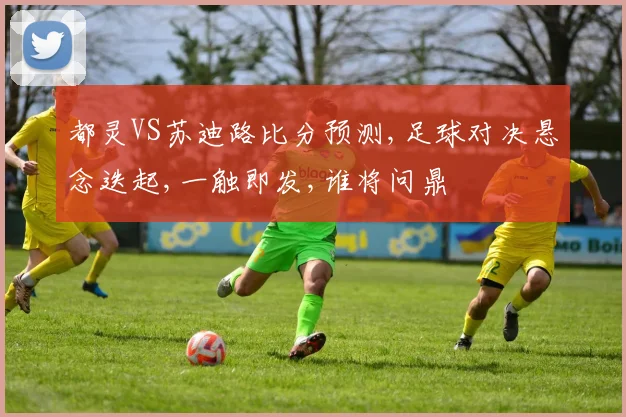 都灵VS苏迪路比分预测,足球对决悬念迭起,一触即发,谁将问鼎
