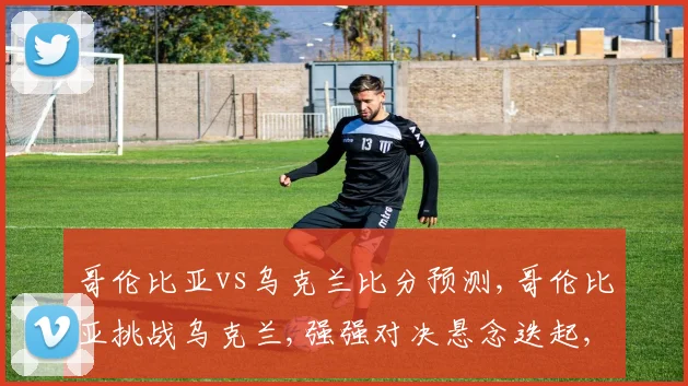 哥伦比亚vs乌克兰比分预测,哥伦比亚挑战乌克兰,强强对决悬念迭起,谁将问鼎巅峰